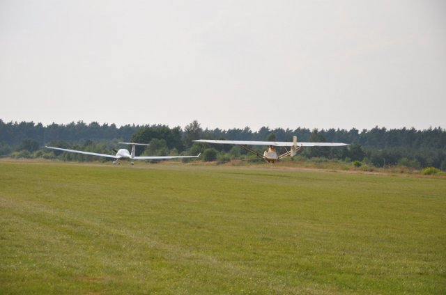DSC_5505 (800x531)